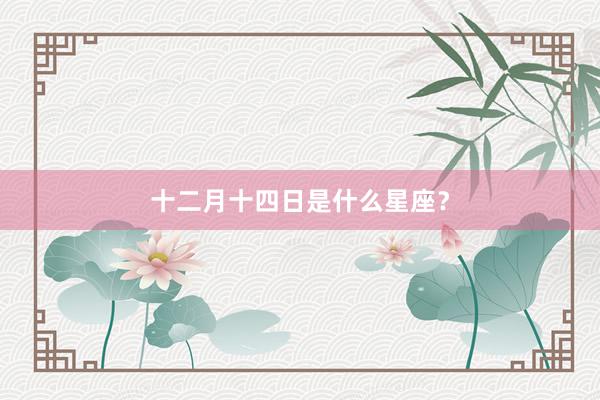 十二月十四日是什么星座？
