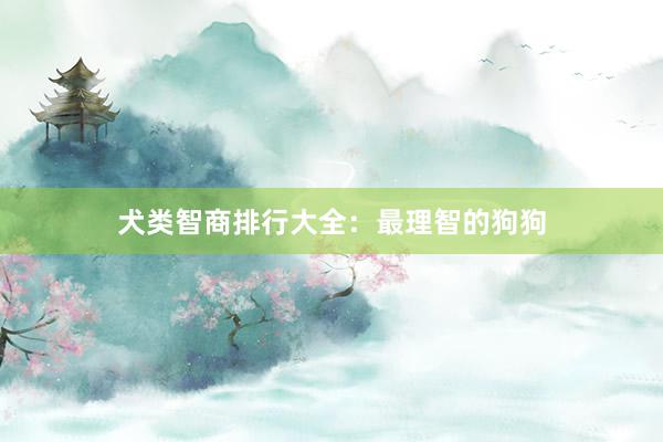 犬类智商排行大全：最理智的狗狗
